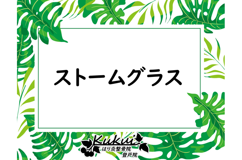 ストームグラス
