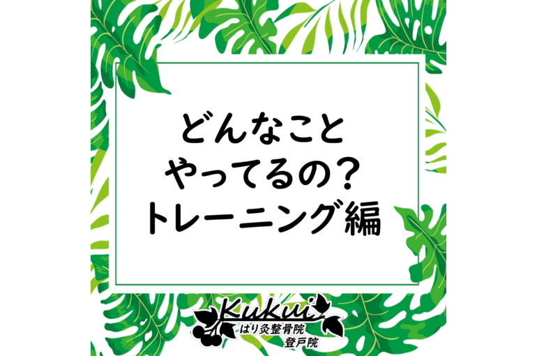 トレーニング編