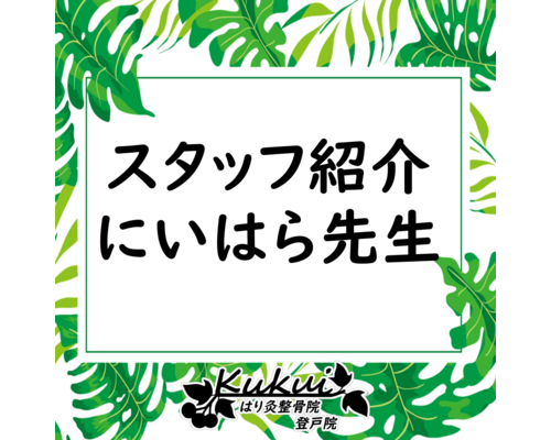 スタッフ紹介_新原