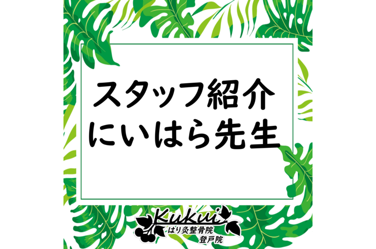 スタッフ紹介_新原